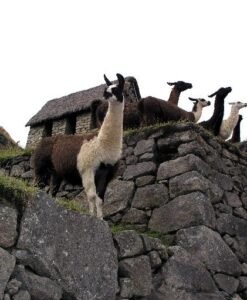 Vacaciones a Machu Picchu con pernocte