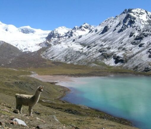 Laguna Verde Nevado Ausangate