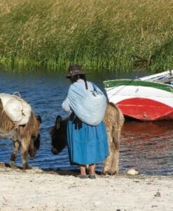 Lago Titicaca Pobladora Local