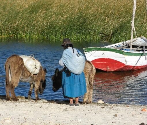 Lago Titicaca Pobladora Local