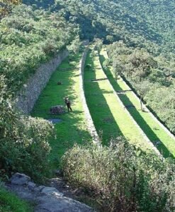 Terrazas Choquequirao