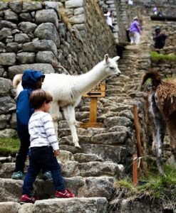Vacaciones para Familias a Machu Picchu