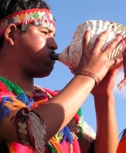 Músico en Inti Raymi